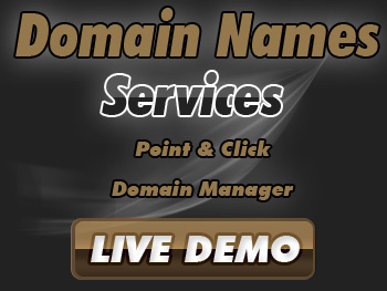 Budget domain name registration services